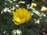 DSCF6734.JPG
