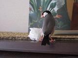 DSCF6908.JPG