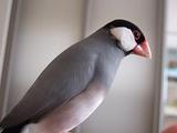 DSCF6916.JPG