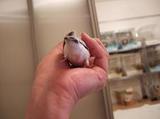 DSCF7683.JPG